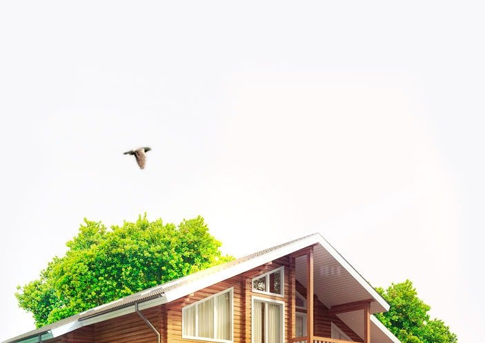 Laning page — Wooden houses building (Beams)